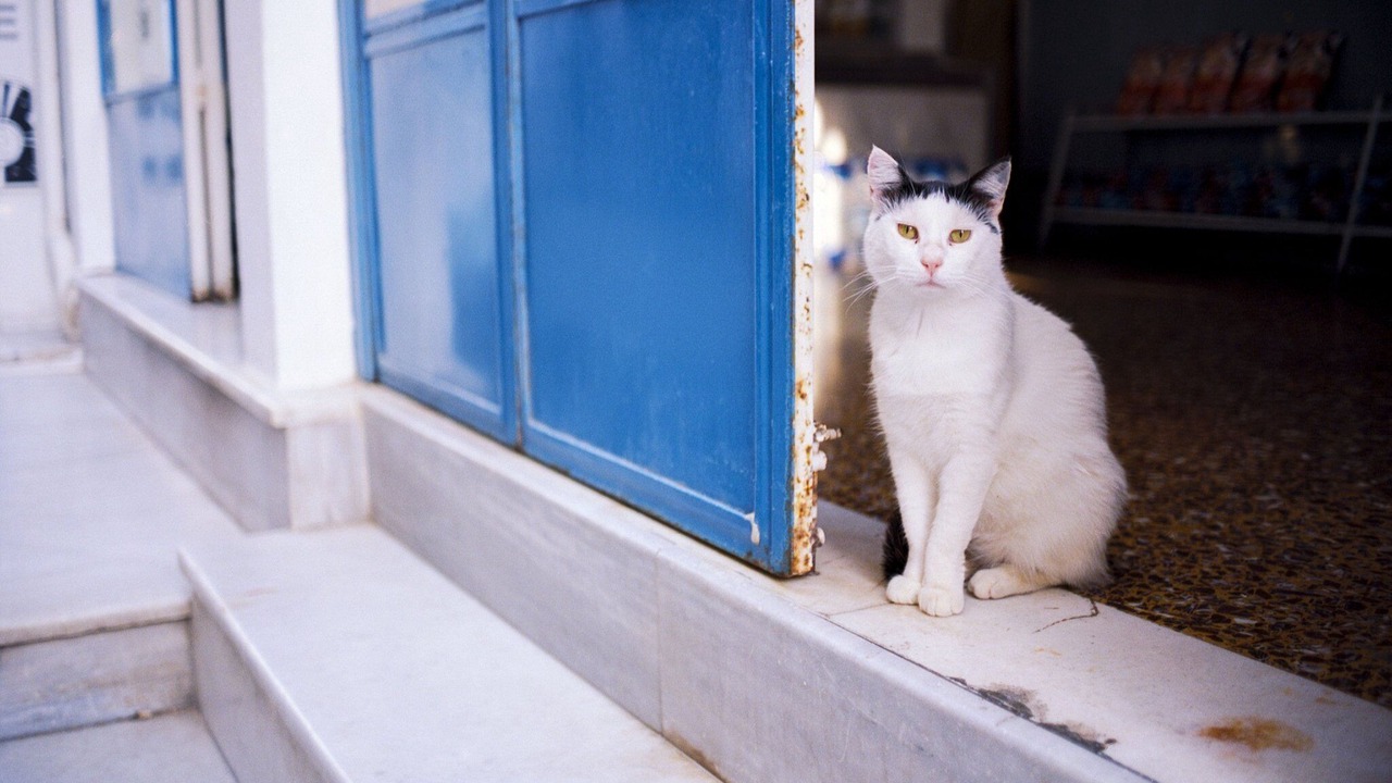 Photo of Others in Agios Prokopios