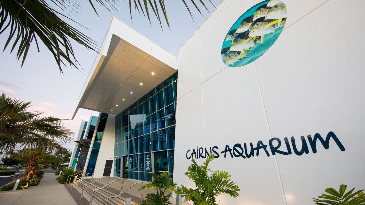 Photo of Others in Cairns Central Business District