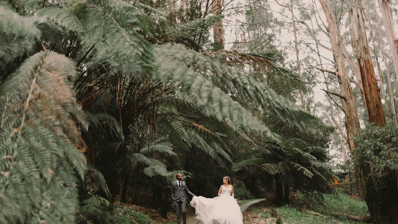 Photo of Others in Mount Dandenong