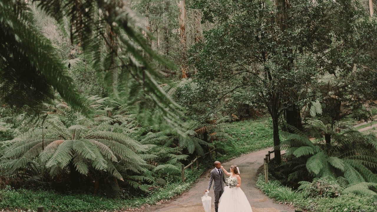 Photo of Others in Mount Dandenong
