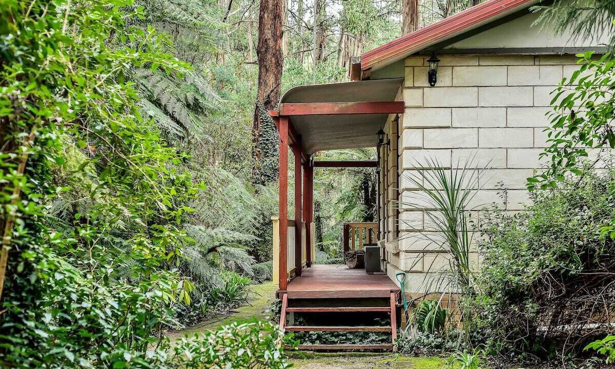 Photo of Others in Mount Dandenong