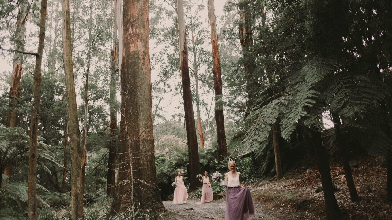 Photo of Others in Mount Dandenong