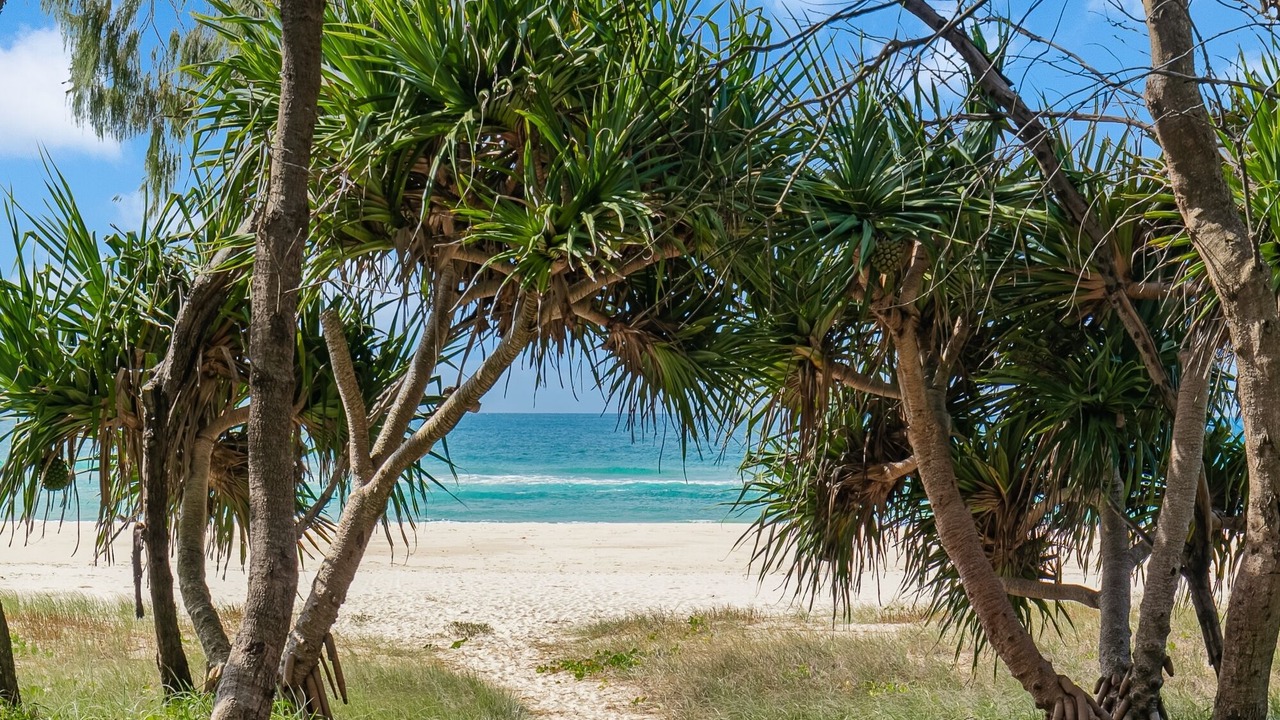 Photo of Others in Kingscliff