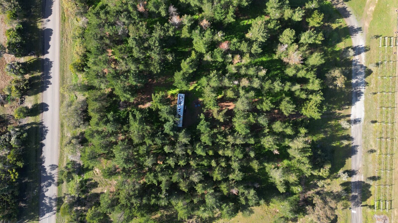 Photo of Others in Little River