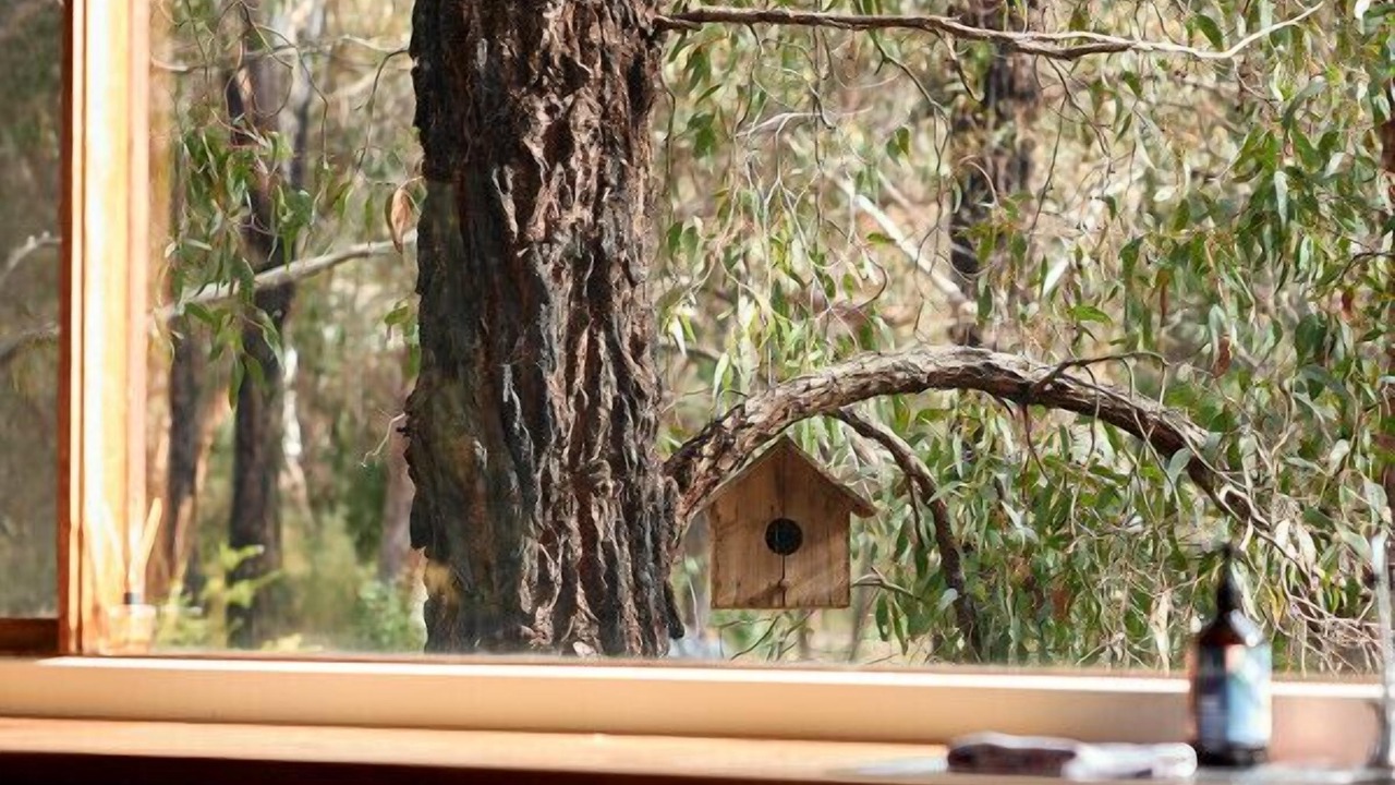 Photo of Others in Aireys Inlet