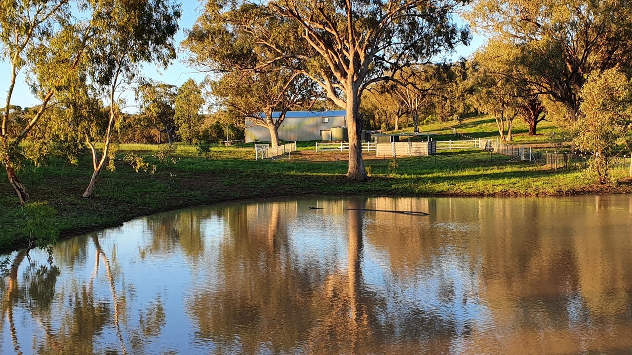 Photo of Outdoor in Currabubula