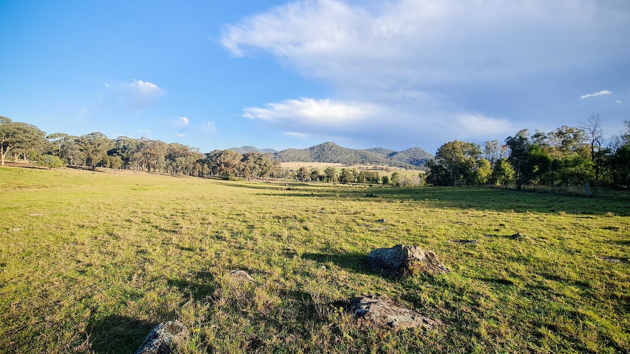 Photo of Others in Martindale