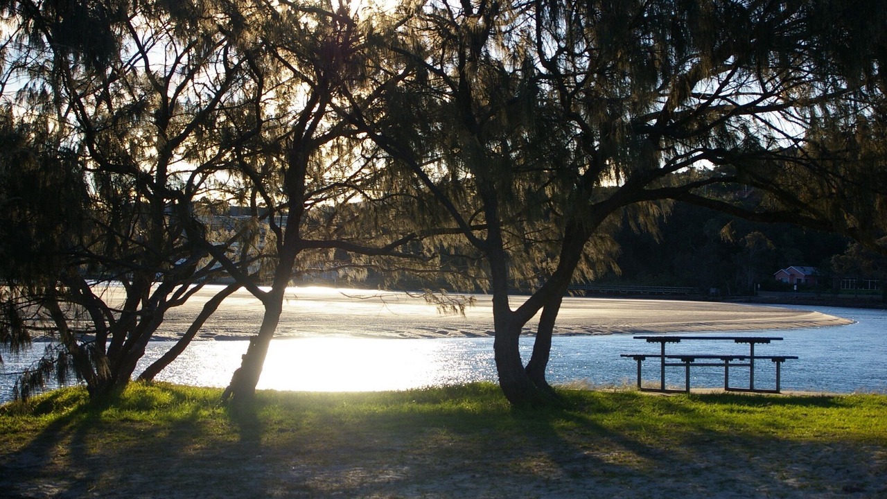 Photo of Others in Nambucca Heads