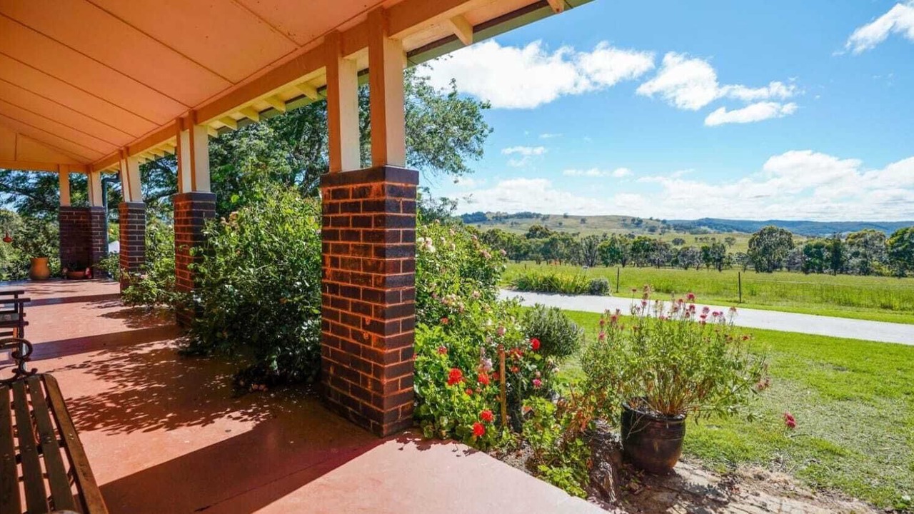 Photo of Outdoor in Orange