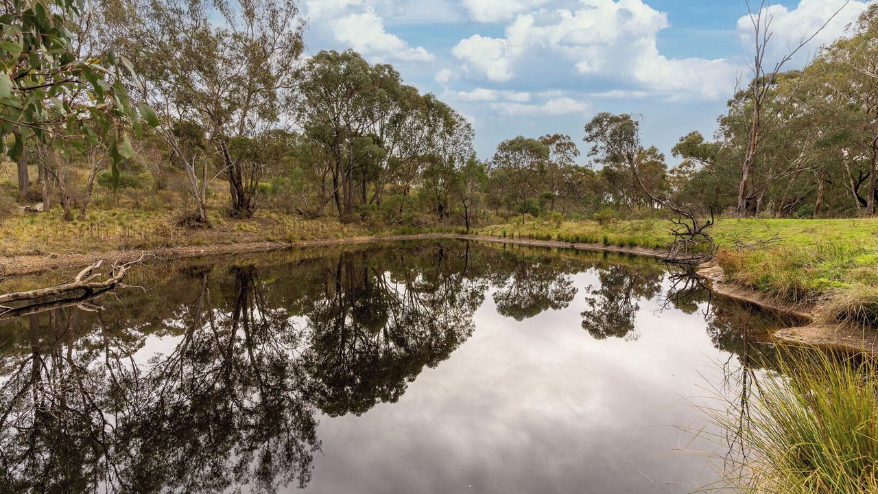 Photo of Outdoor in O'connell