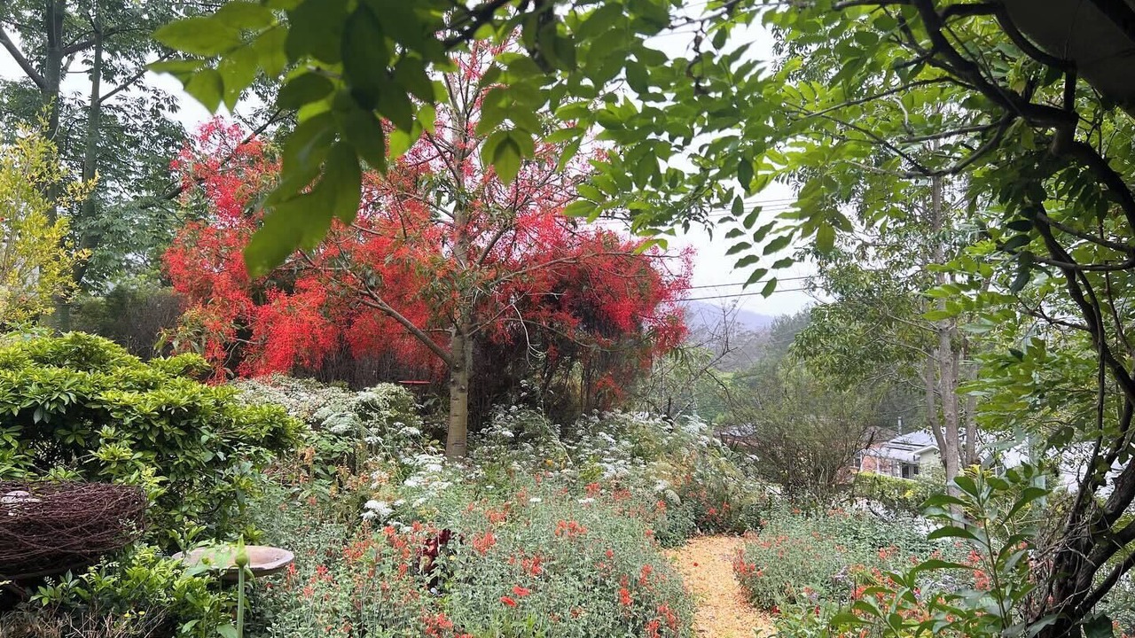 Photo of Outdoor in Yarramalong