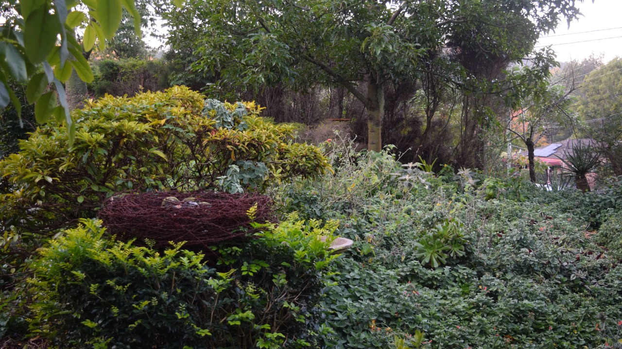 Photo of Outdoor in Yarramalong