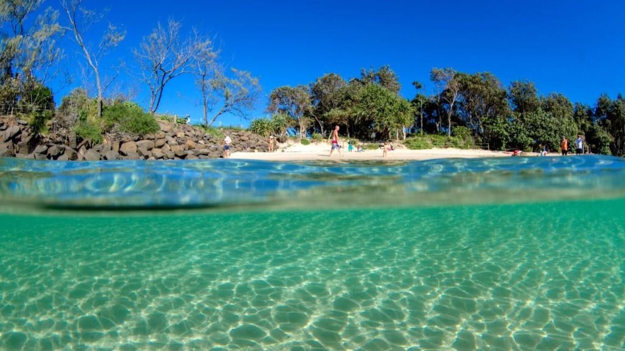 Photo of Others in Brunswick Heads