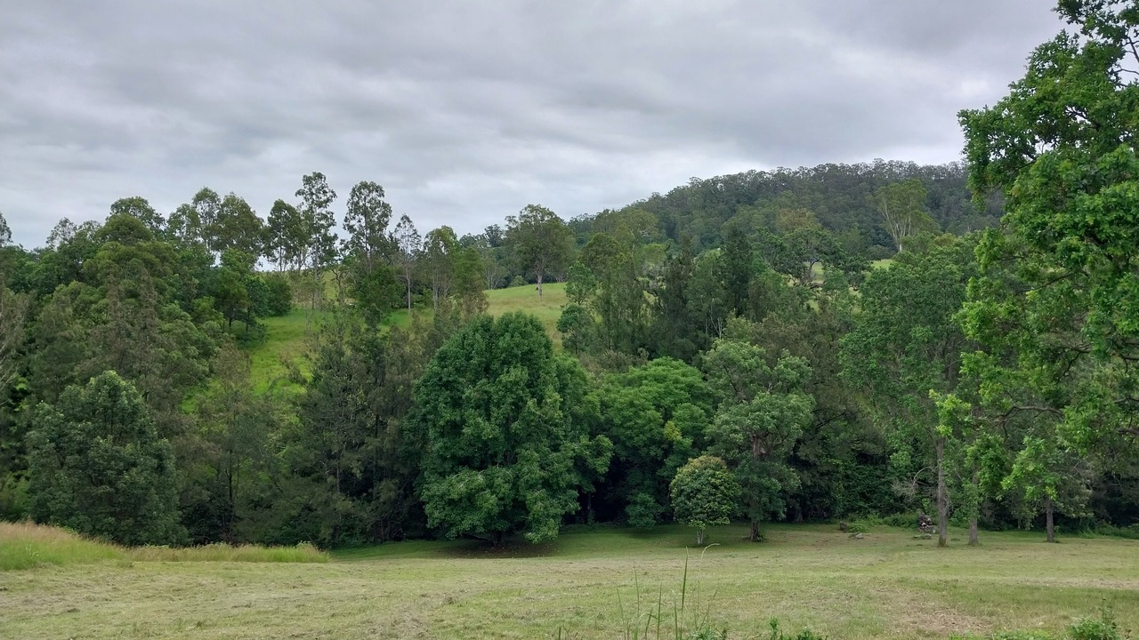 Photo of Others in Eden Creek
