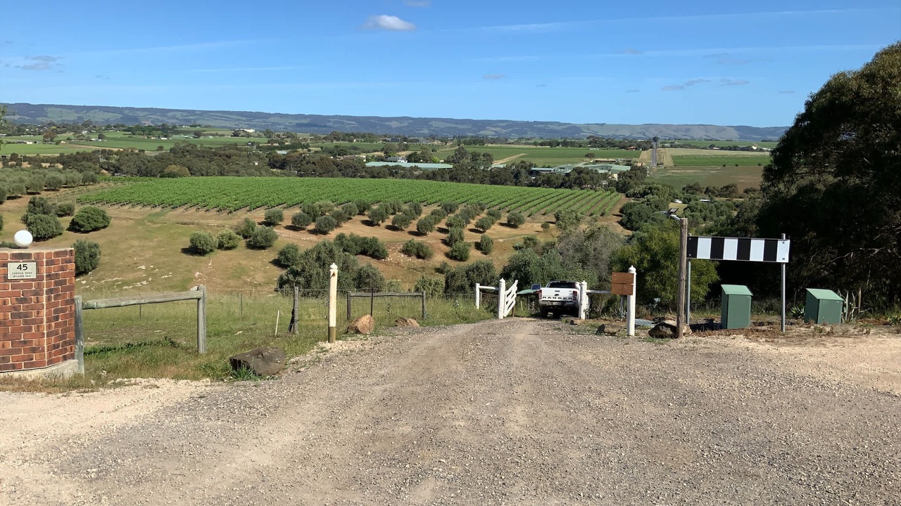 Photo of Others in McLaren Vale