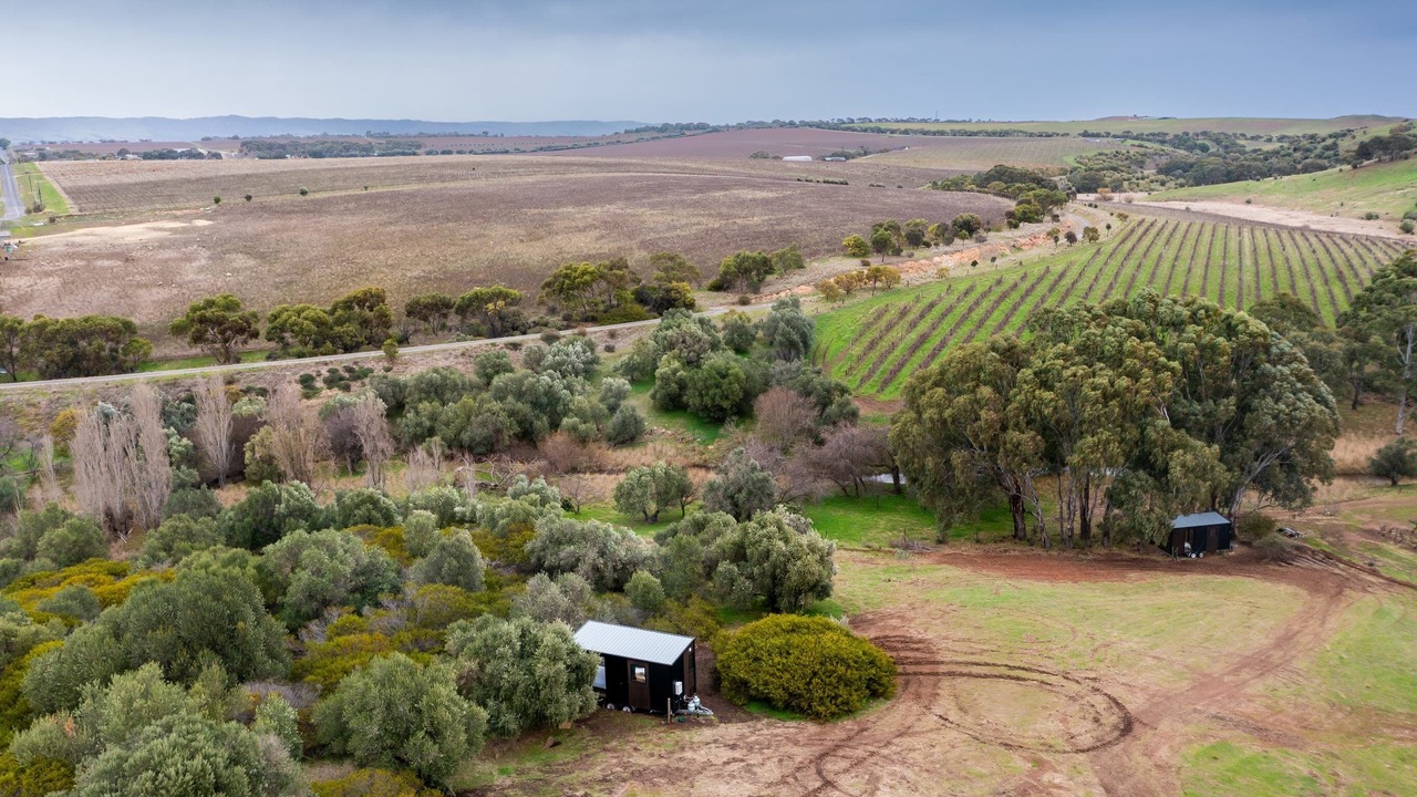 Photo of Outdoor in McLaren Vale
