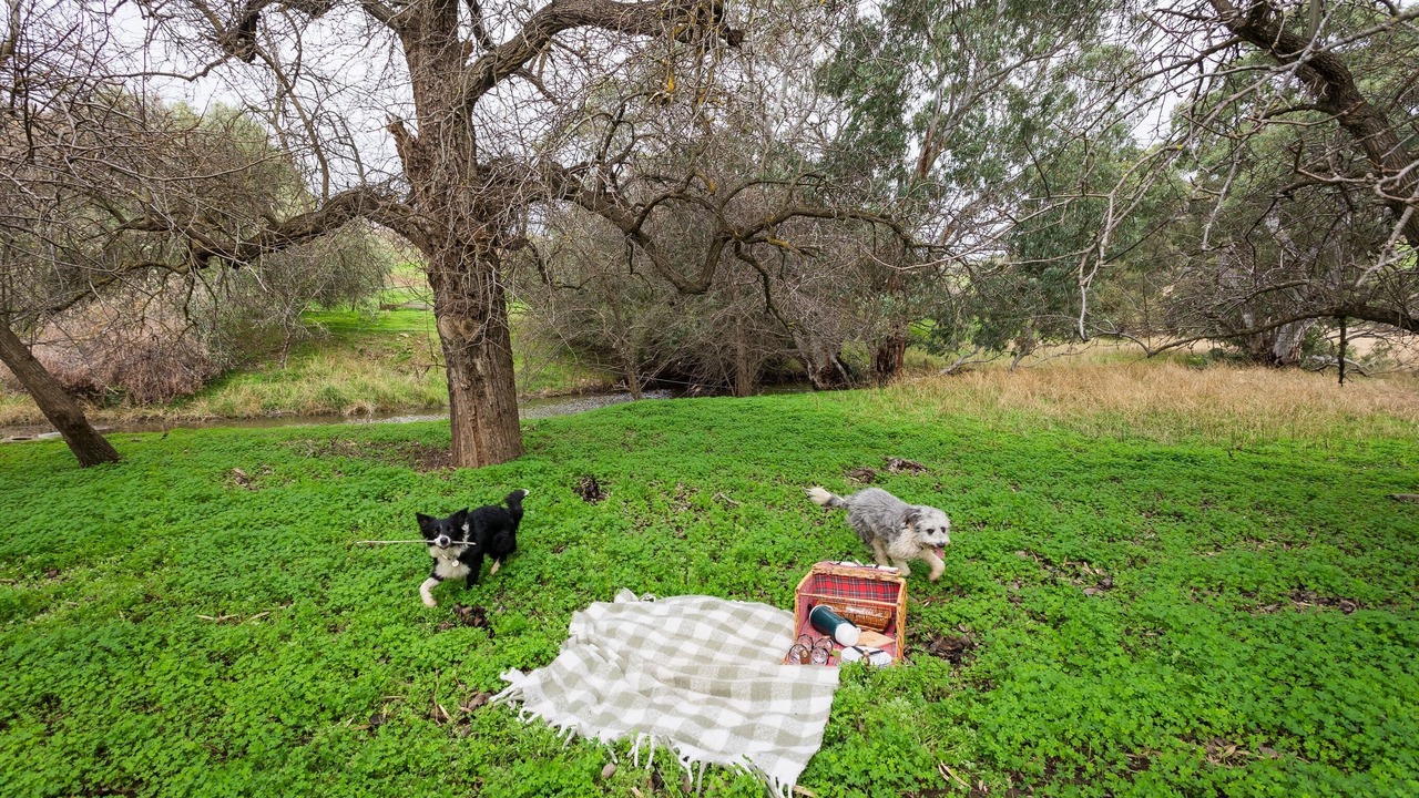 Photo of Outdoor in McLaren Vale