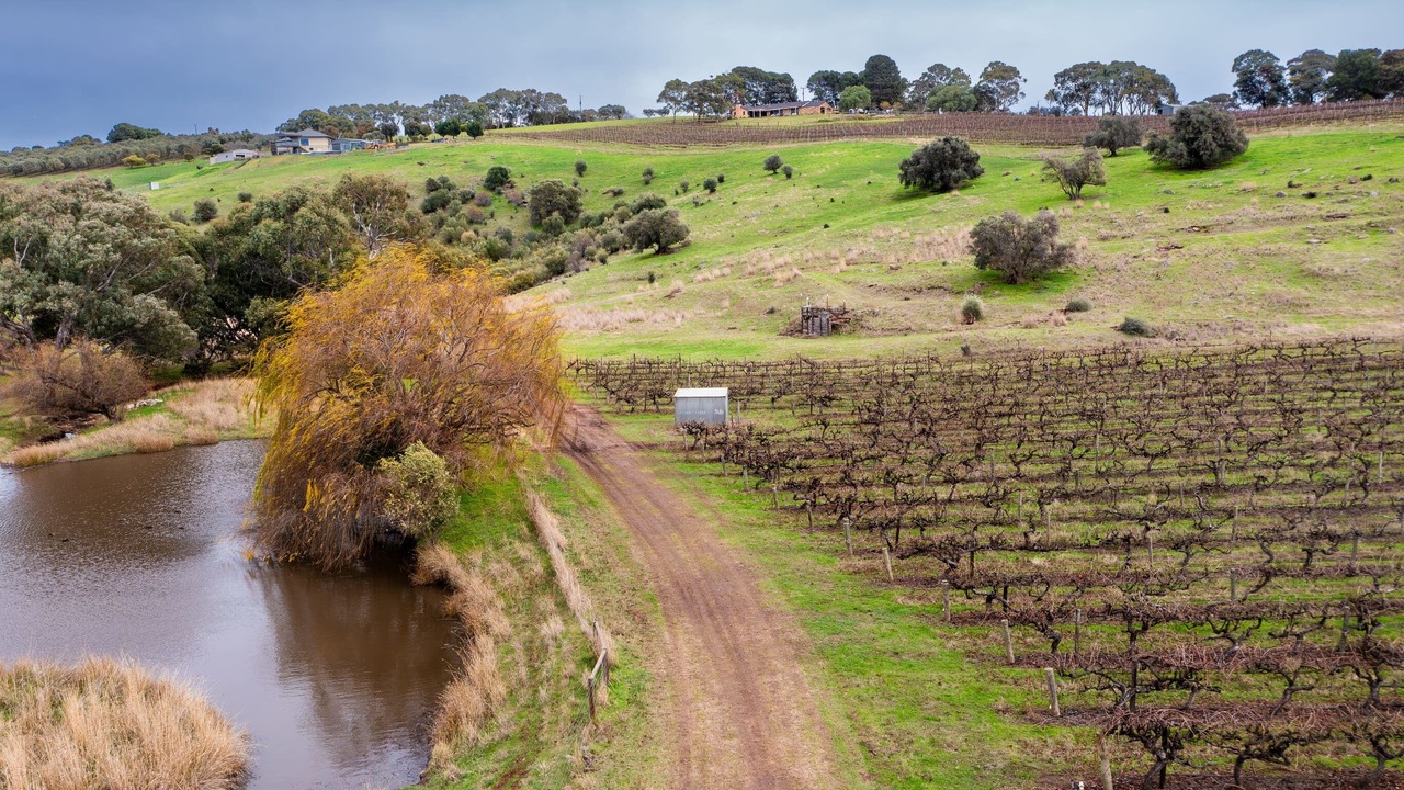 Photo of Others in McLaren Vale
