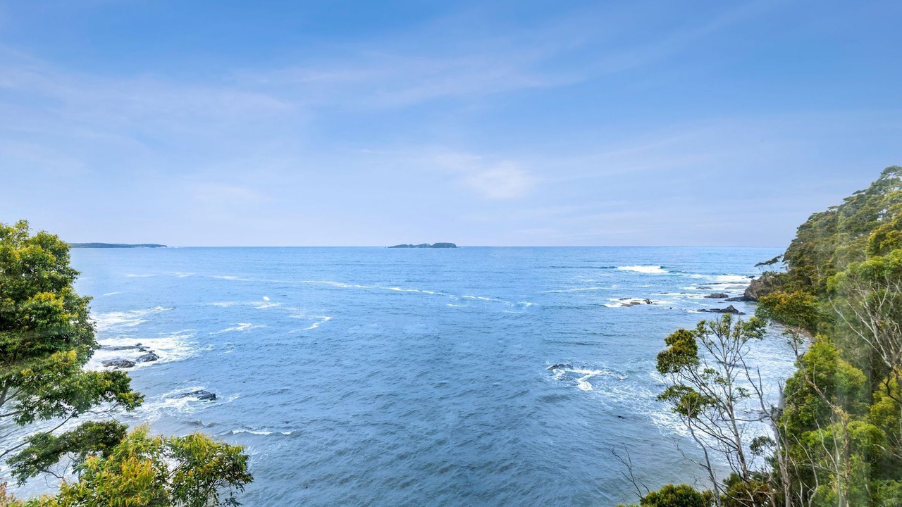 Photo of Others in Denhams Beach