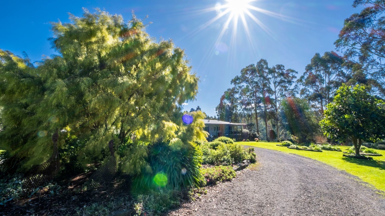 Photo of Outdoor in Johanna