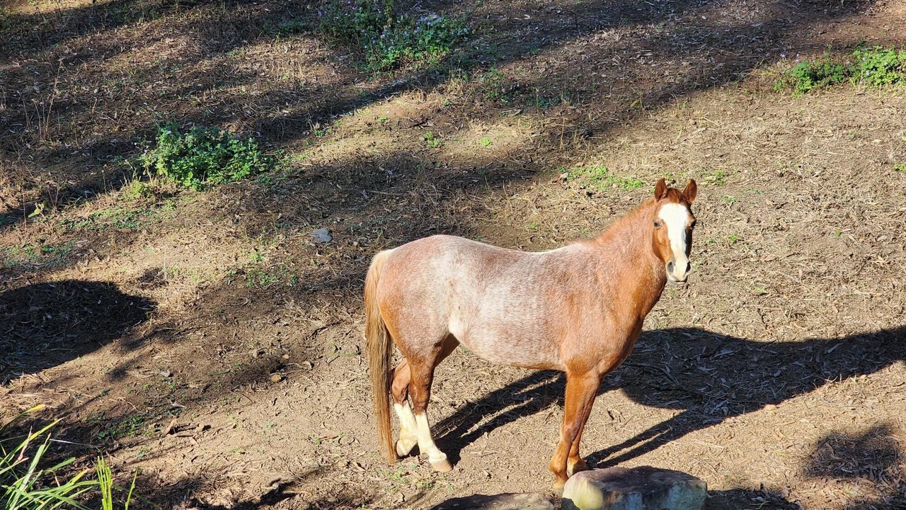 Photo of Others in Mount Crosby