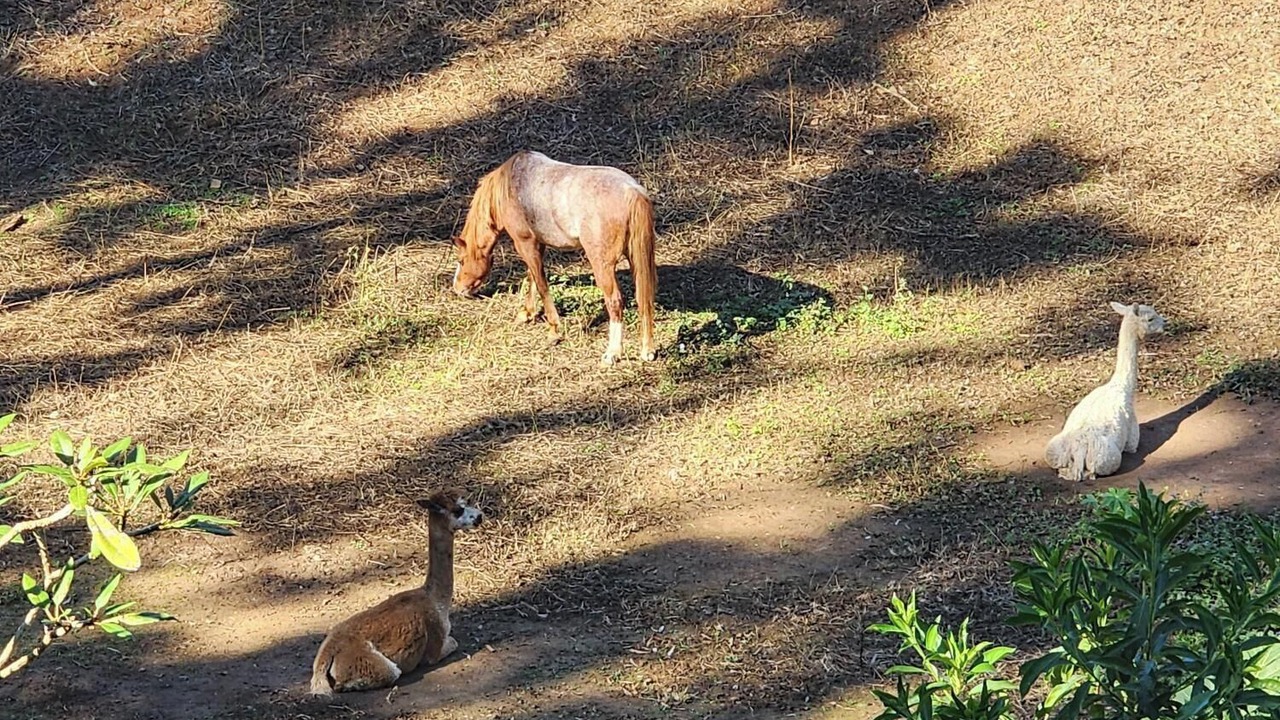 Photo of Others in Mount Crosby