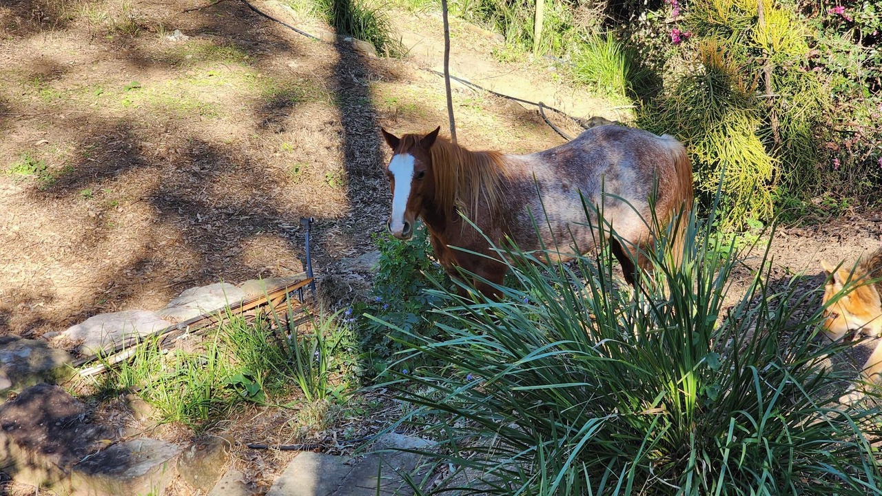 Photo of Others in Mount Crosby