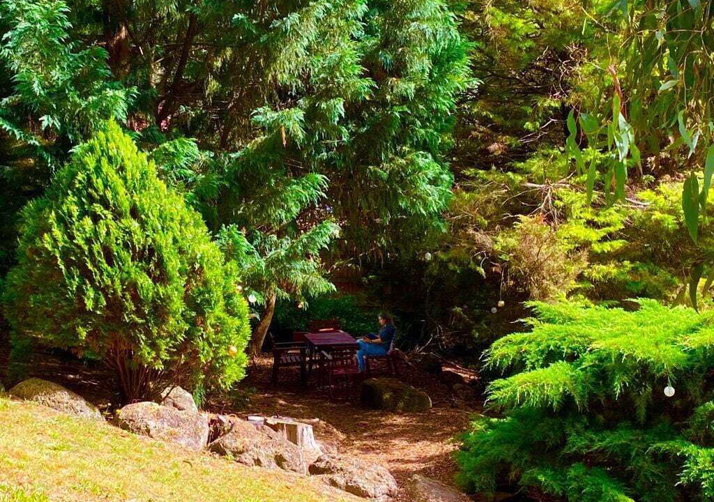 Photo of Others in Donvale