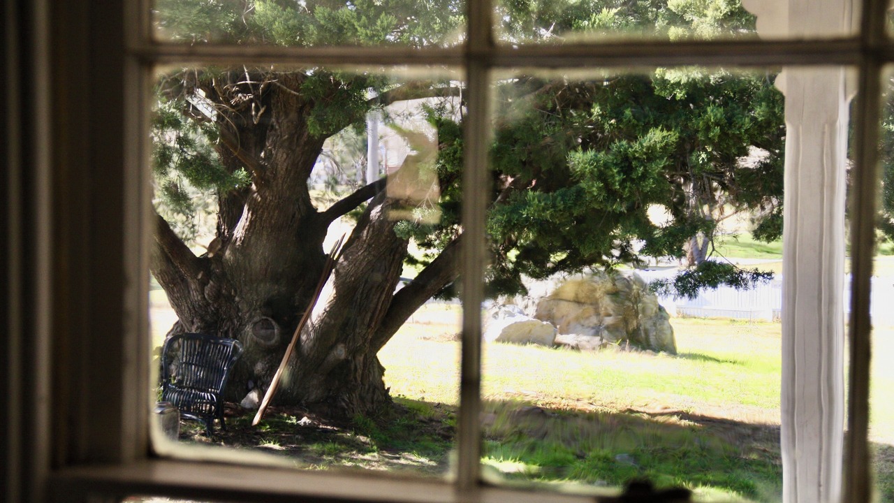 Photo of Others in Tenterfield