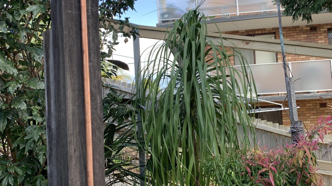 Photo of Outdoor in Freshwater