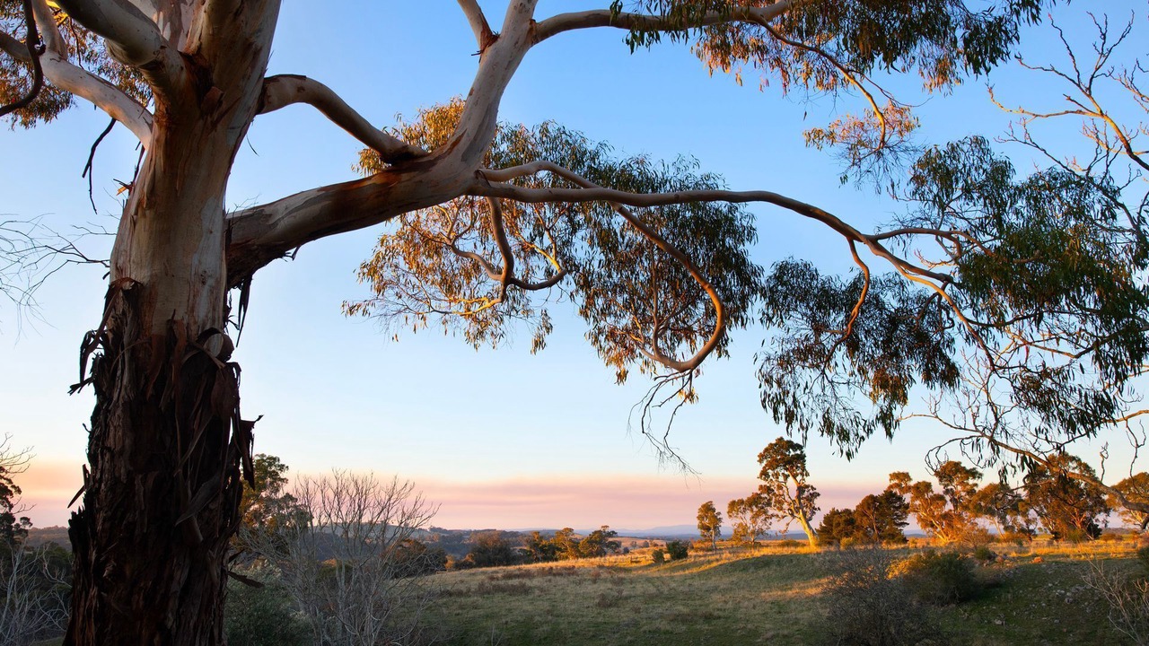 Photo of Outdoor in Werona