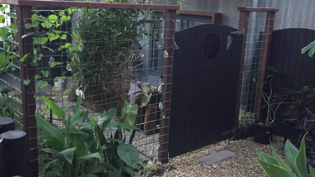 Photo of Outdoor in Dee Why