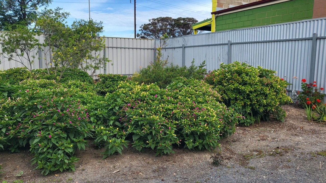 Photo of Outdoor in Taperoo