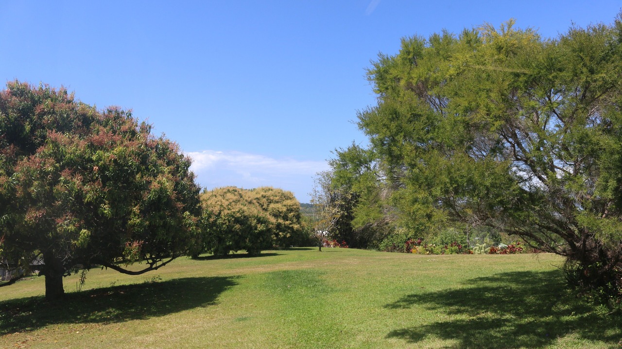 Photo of Outdoor in Carmoo