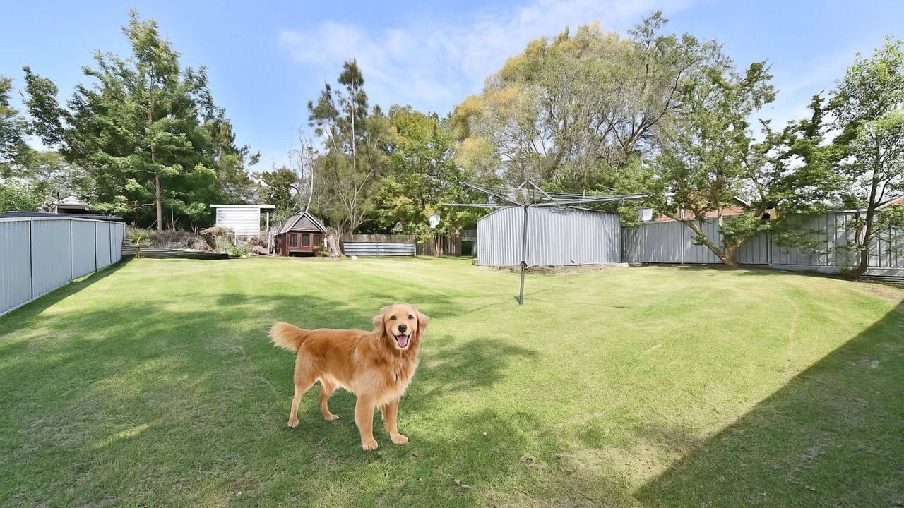 Photo of Outdoor in Brightwaters