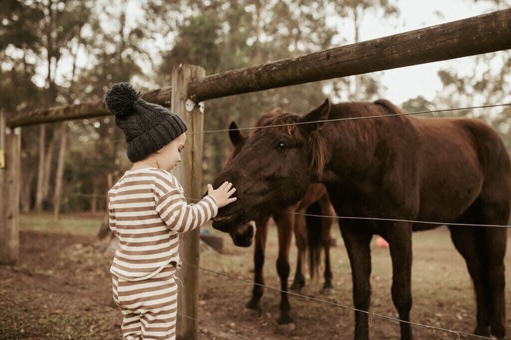 Photo of Others in Palmwoods