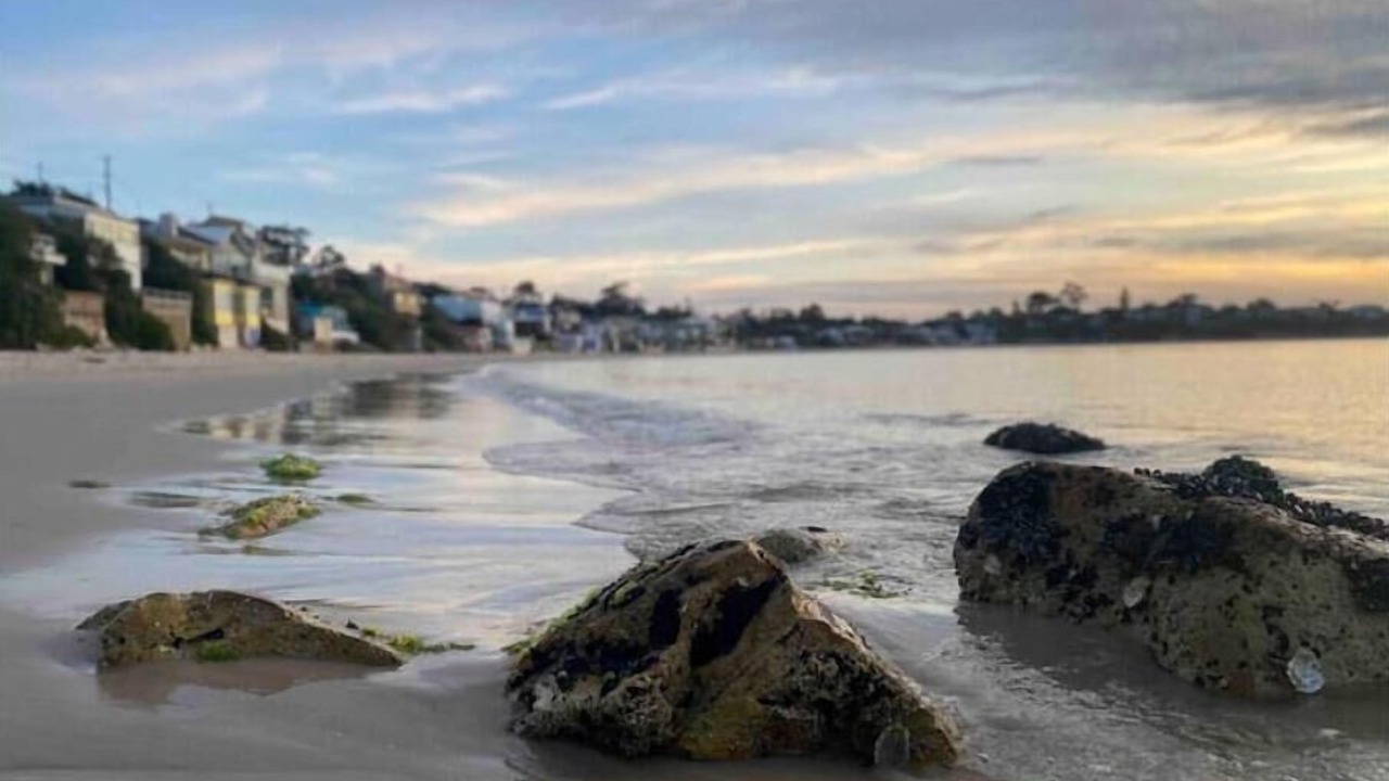 Photo of Others in Opossum Bay