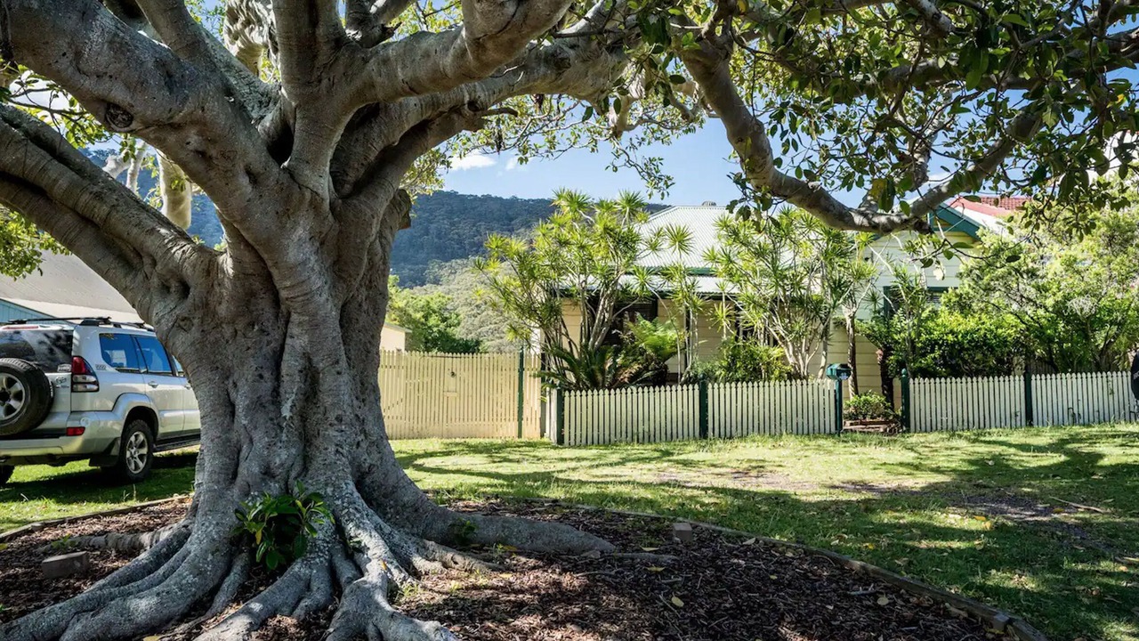 Photo of Others in Stanwell Park