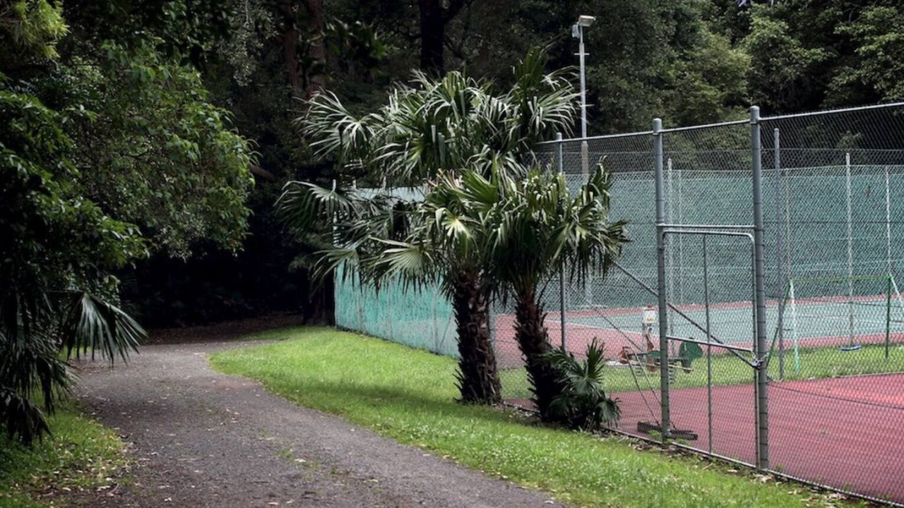 Photo of Others in Stanwell Park