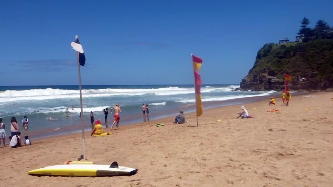 Photo of Others in Stanwell Park
