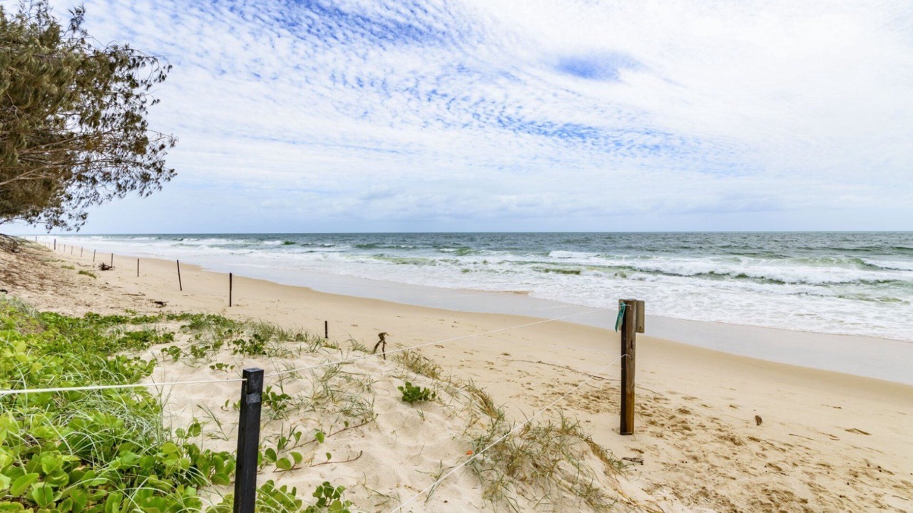 Photo of Others in Moreton Bay Region