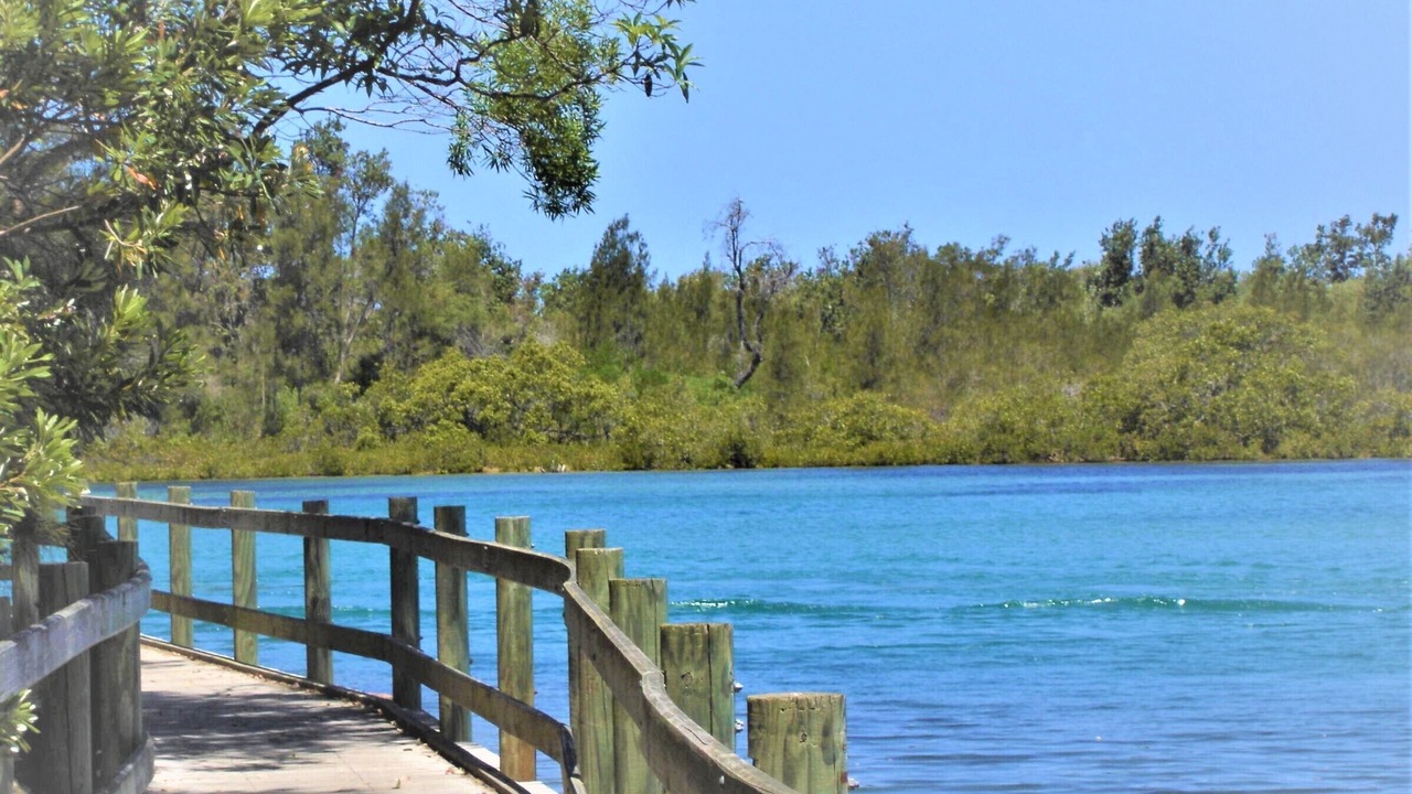 Photo of Others in Nambucca Heads