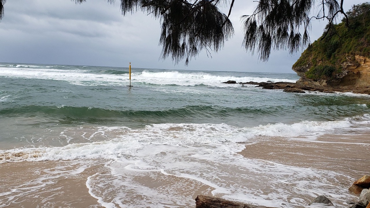 Photo of Others in Nambucca Heads
