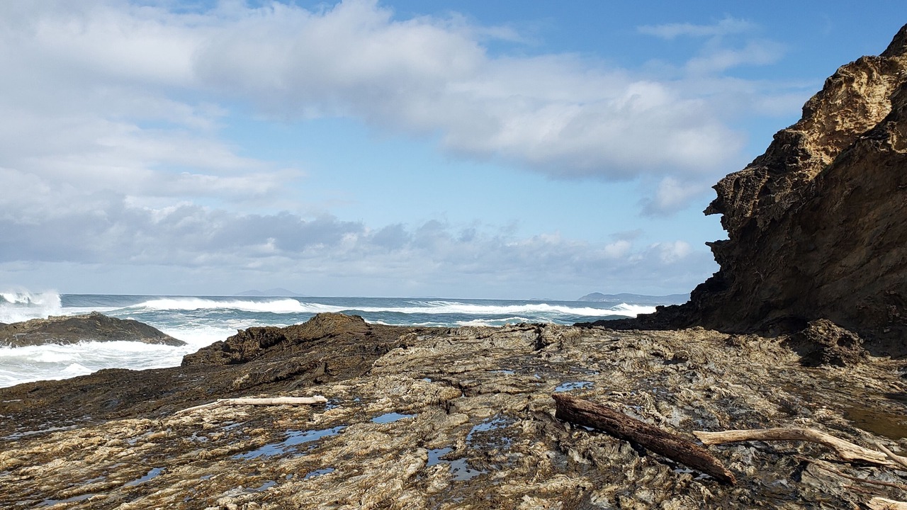Photo of Others in Nambucca Heads
