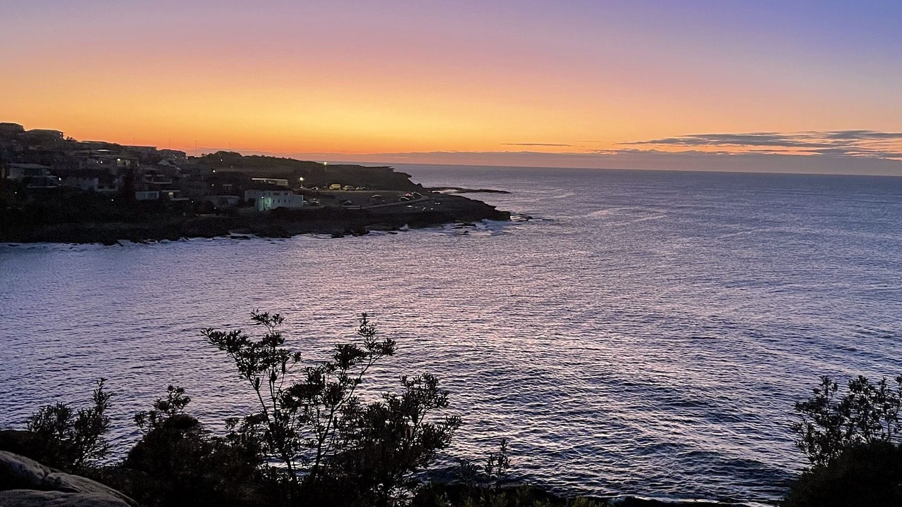 Photo of Others in Coogee