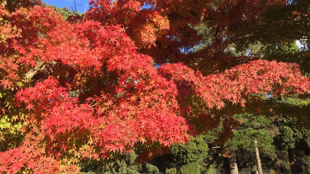 Photo of Outdoor in Burradoo