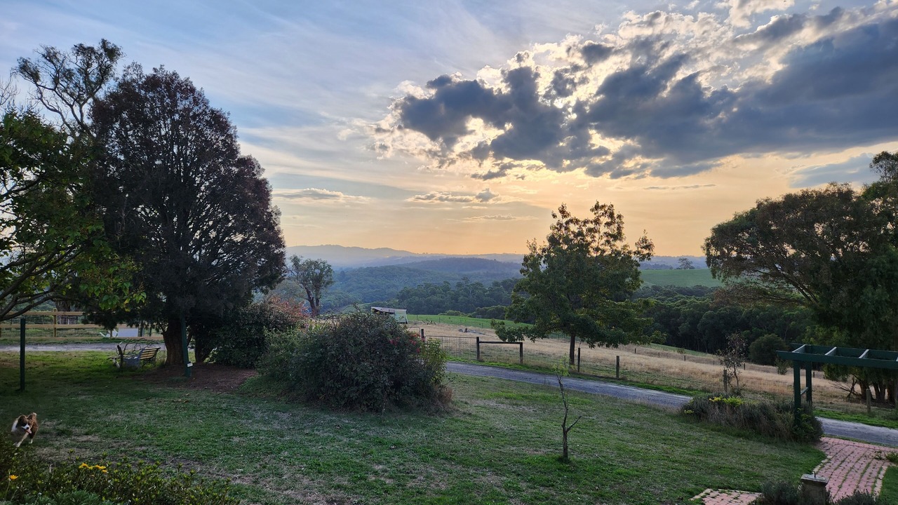 Photo of Outdoor in Hoddles Creek