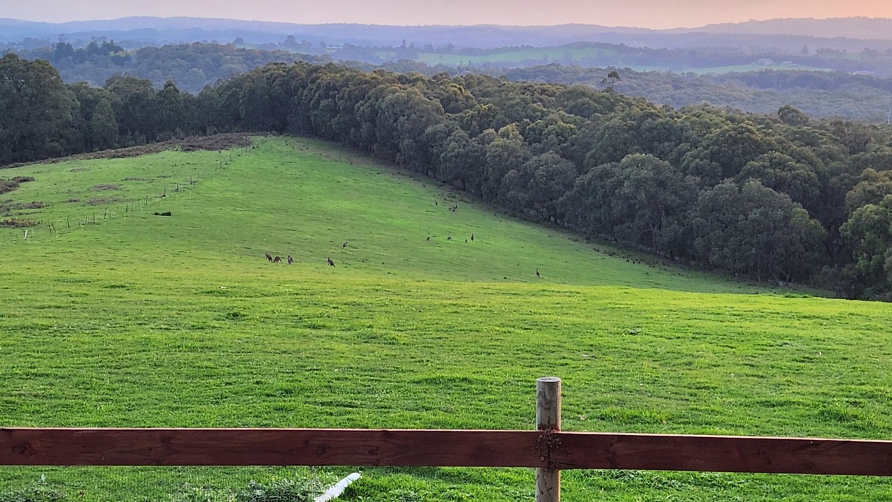 Photo of Others in Hoddles Creek