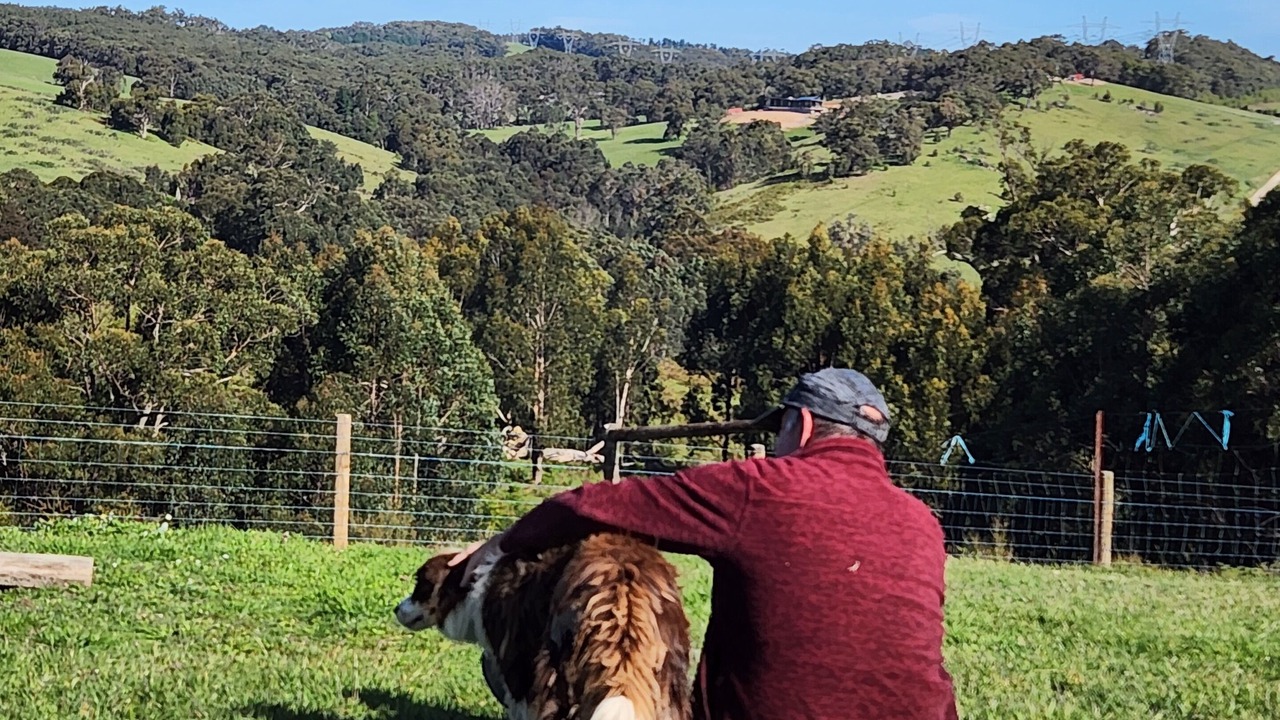 Photo of Others in Hoddles Creek