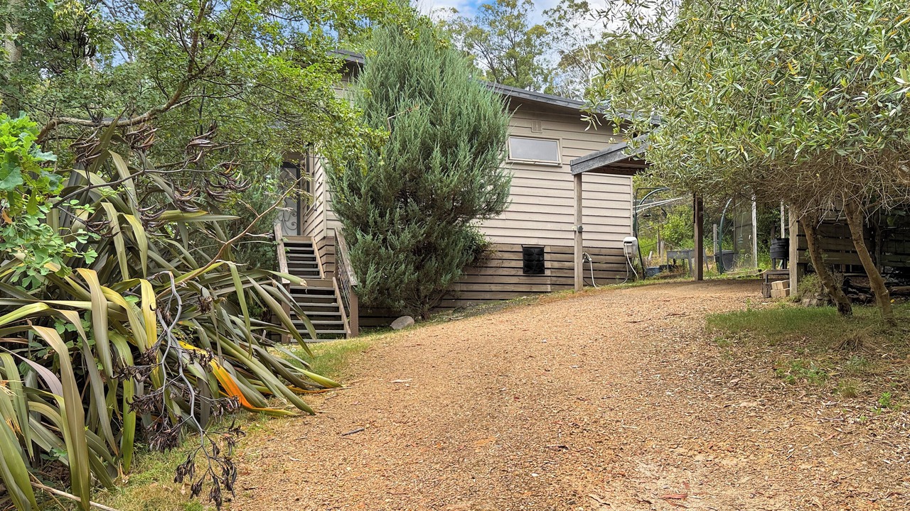 Photo of Outdoor in Sawmill Settlement